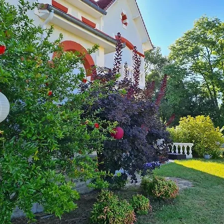 فيلة La Russe Gurs