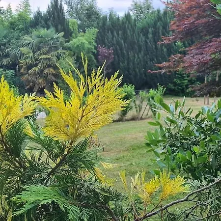 فيلة La Russe Gurs